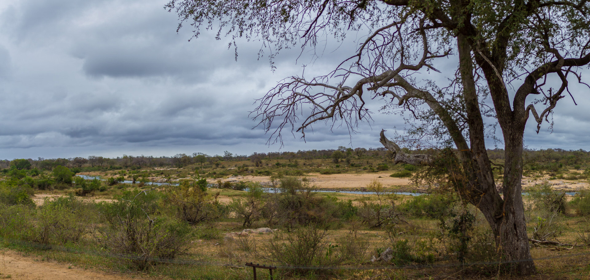 Kruger National Park